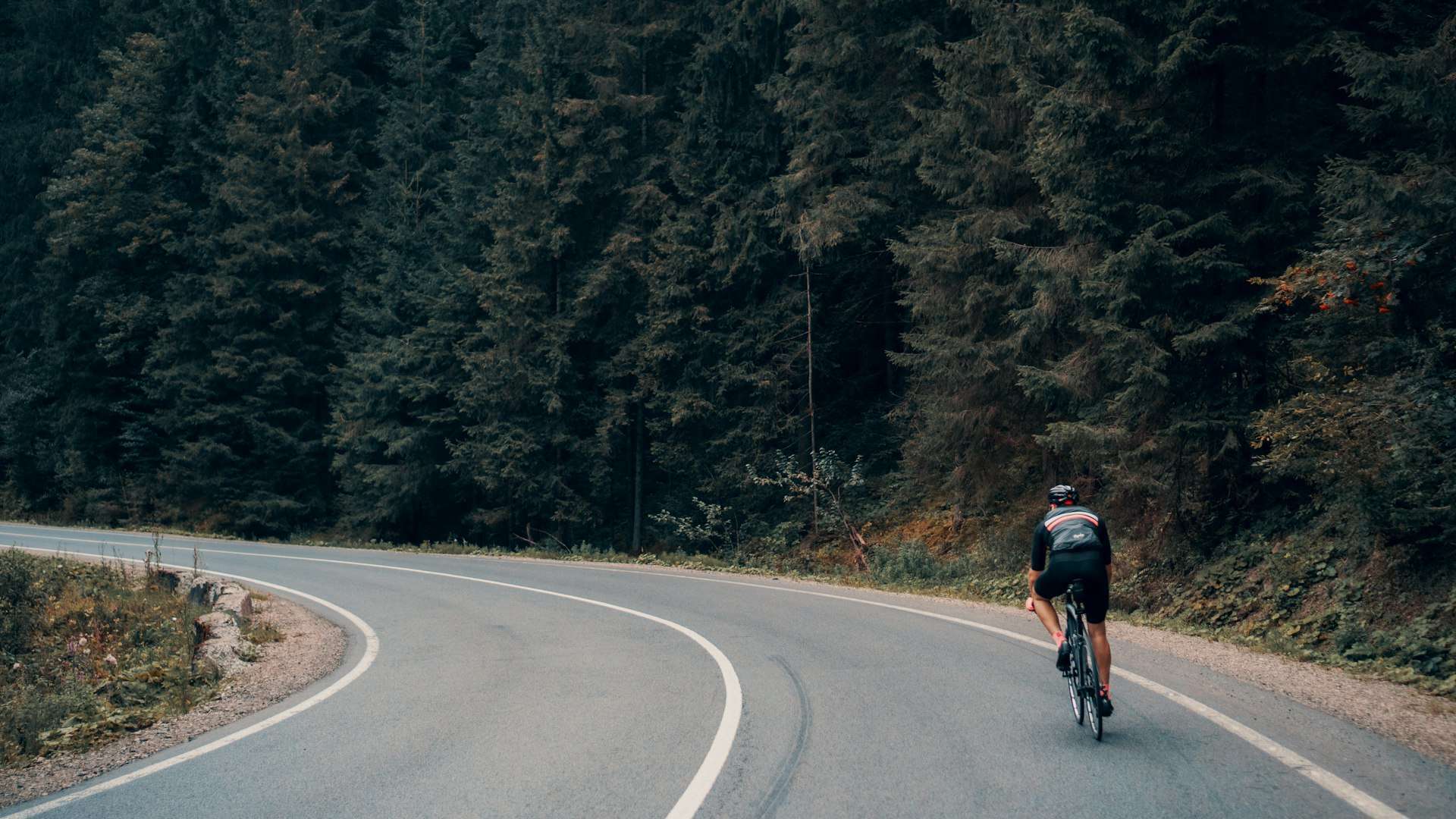 A cyclist in a black jersey and helmet rounds a curve on a forest road, a long ride that can load the knees, back and hands.